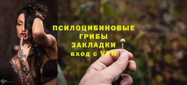 шишки Горно-Алтайск