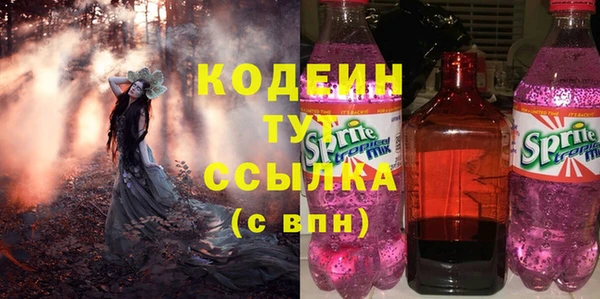 шишки Горно-Алтайск