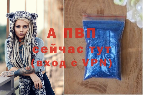 шишки Горно-Алтайск