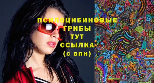 шишки Горно-Алтайск