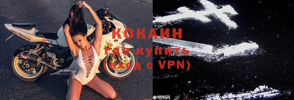 шишки Горно-Алтайск