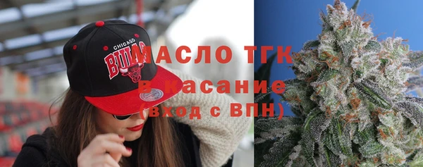 шишки Горно-Алтайск